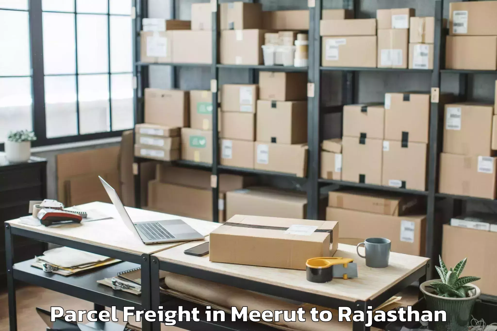 Expert Meerut to Abhilashi University Jodhpur Parcel Freight